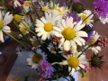 Thaimassage Vacanza 2014_002