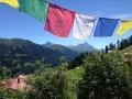 Thaimassage Vacanza 2014_025
