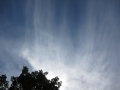 TMVBeginners2012_104