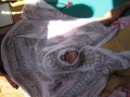 ThaimassageVacanzaAdv2012_22