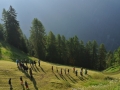 ThaimassageVacanza2014-052